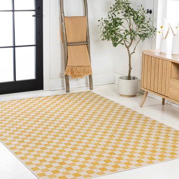 Aimee Traditional Cottage Checkerboard Indoor/Outdoor Area Rug